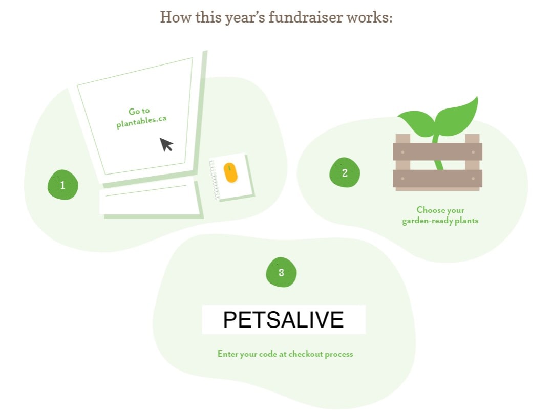Plantables Fundraiser for PETS ALIVE NIAGARA